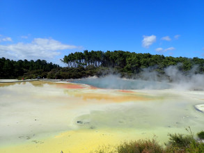 Wai-O-Tapu et Red Wood Forest